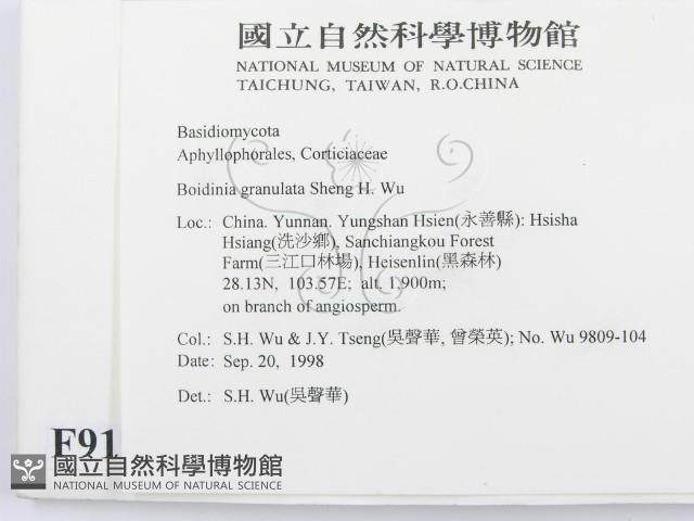 登錄號:F0009195藏品圖，第2張