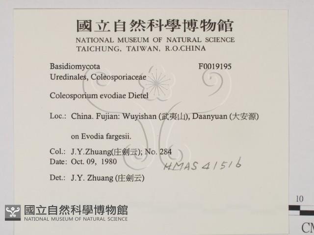 登錄號:F0019195藏品圖，第2張