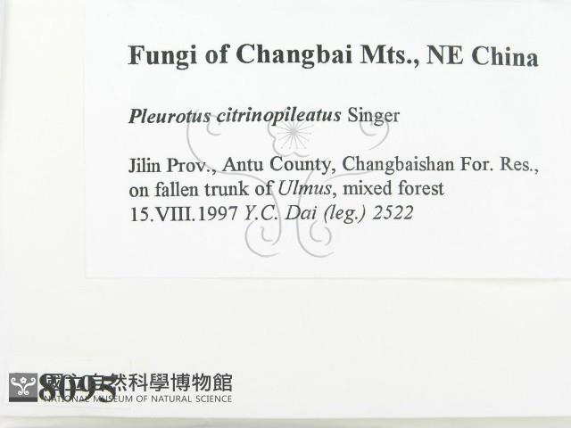 登錄號:F0008095藏品圖，第2張