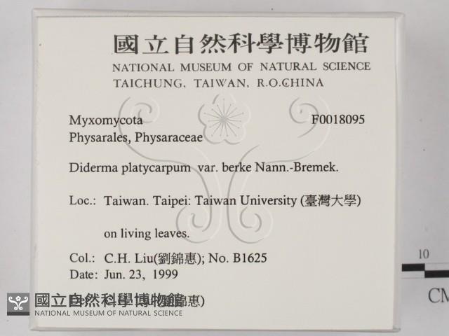 登錄號:F0018095藏品圖，第2張