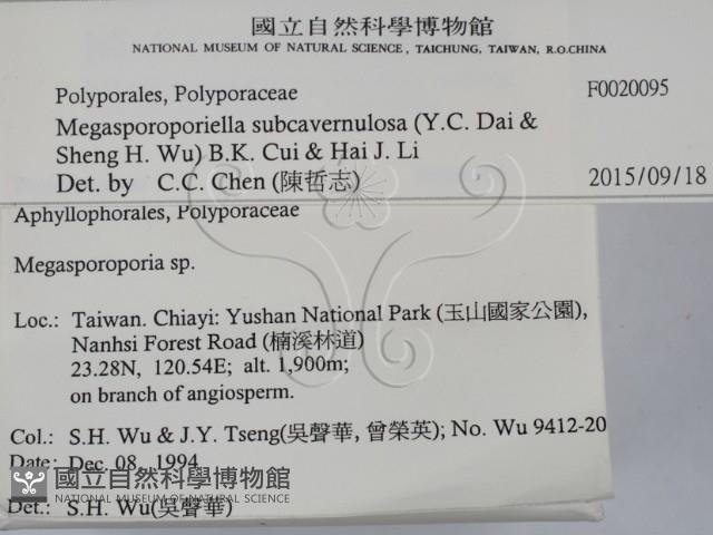 登錄號:F0020095藏品圖，第2張