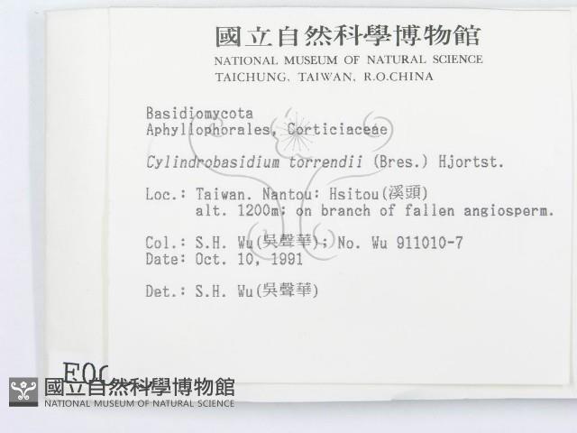 登錄號:F0000095藏品圖，第2張