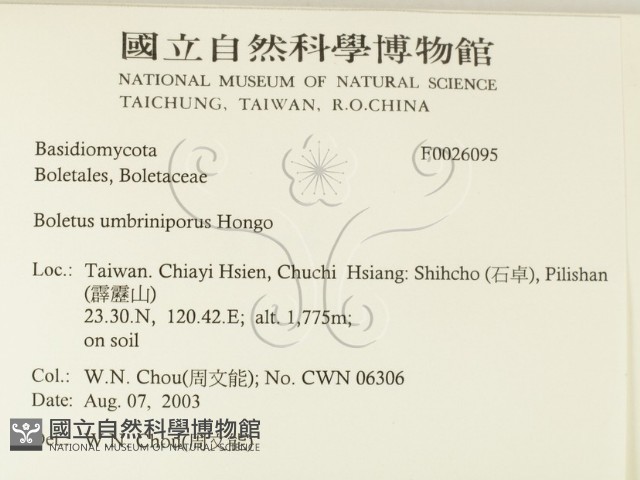 登錄號:F0026095藏品圖，第2張