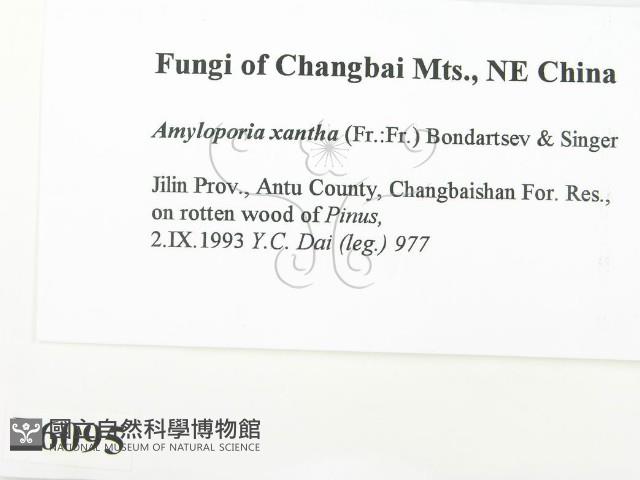 登錄號:F0006095藏品圖，第2張