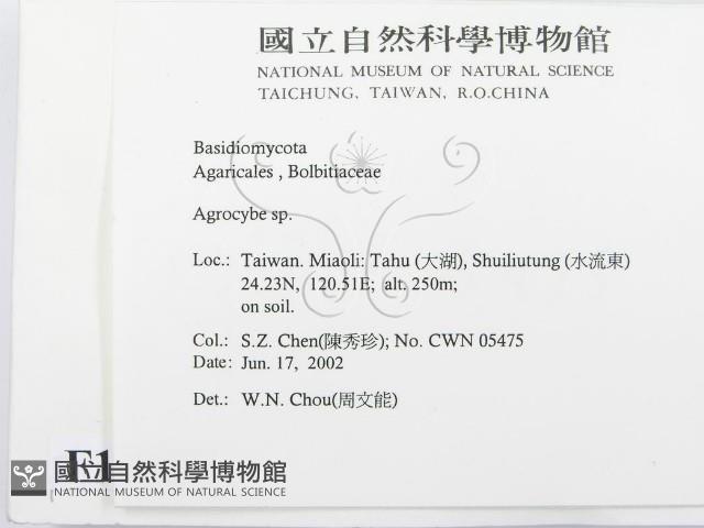 登錄號:F0016095藏品圖，第2張