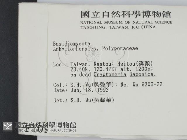 登錄號:F0001095藏品圖，第2張