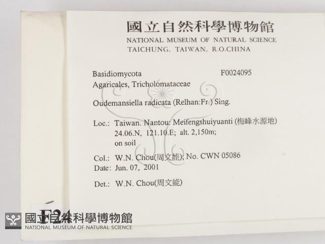 登錄號:F0024095藏品圖，第2張