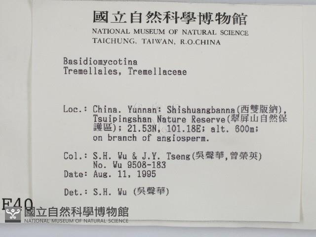 登錄號:F0004095藏品圖，第2張