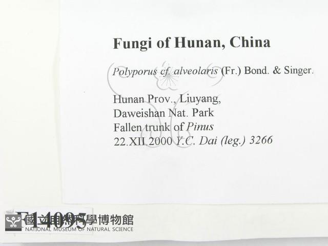 登錄號:F0014095藏品圖，第2張