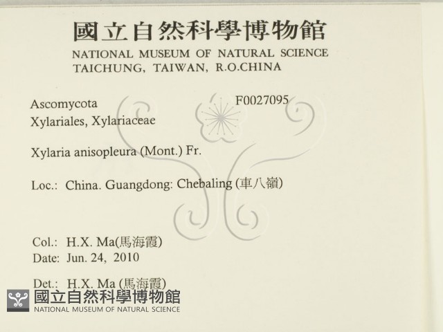 登錄號:F0027095藏品圖，第2張