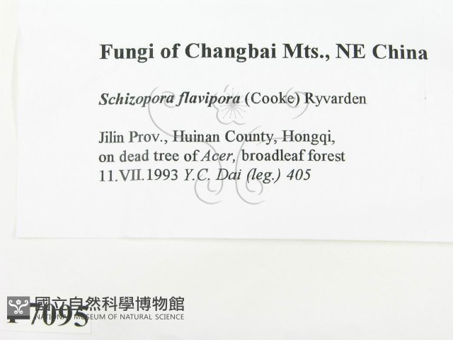 登錄號:F0007095藏品圖，第2張