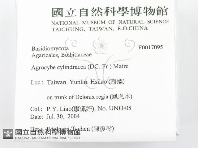 登錄號:F0017095藏品圖，第2張