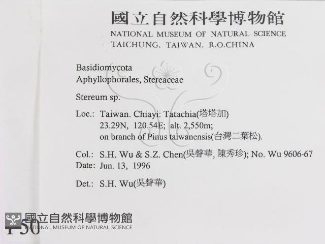 Accession Number:F0005095 Collection Image, Figure 2, Total 6 Figures