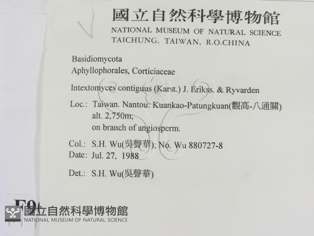 登錄號:F0009095藏品圖，第2張