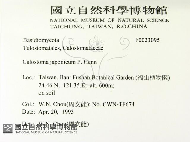 登錄號:F0023095藏品圖，第2張