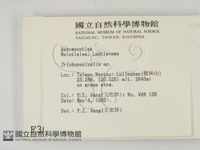 登錄號:F0003095藏品圖，第2張