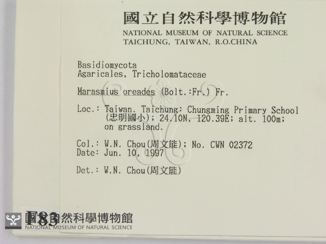 登錄號:F0008395藏品圖，第2張