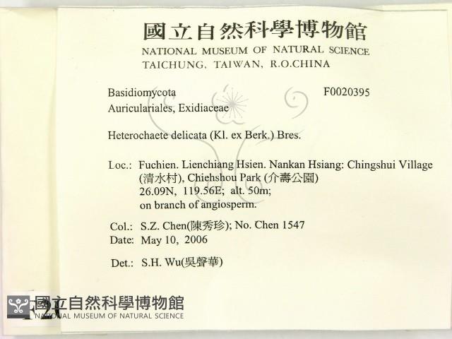 登錄號:F0020395藏品圖，第2張