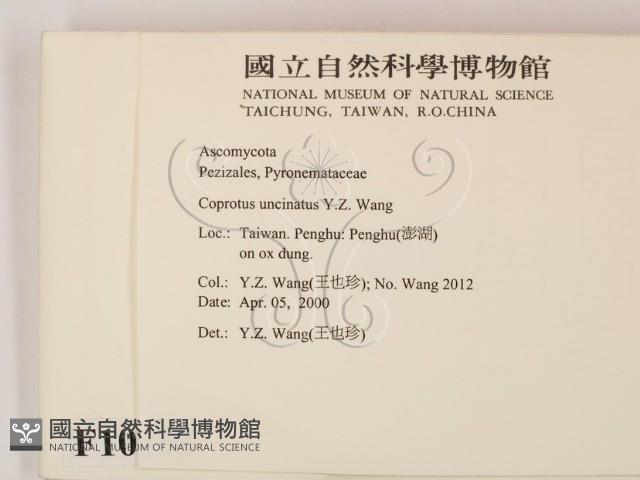 登錄號:F0010395藏品圖，第2張