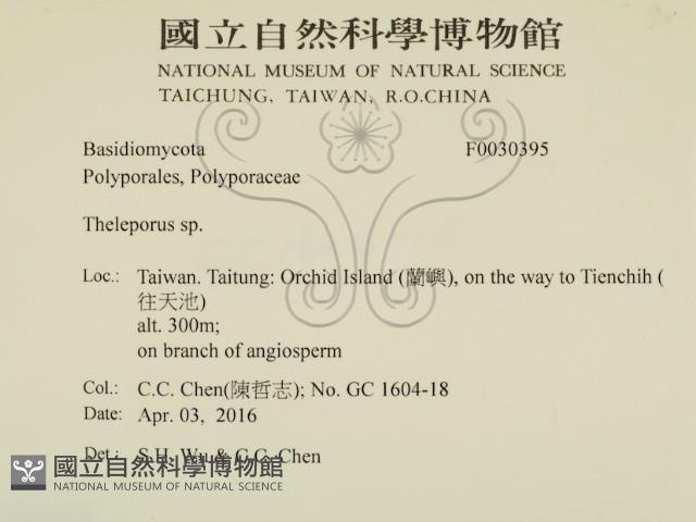 登錄號:F0030395藏品圖，第2張