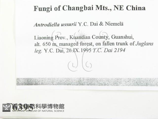 登錄號:F0006395藏品圖，第2張