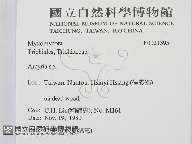 登錄號:F0021395藏品圖，第2張