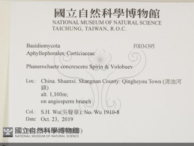 登錄號:F0034395藏品圖，第2張