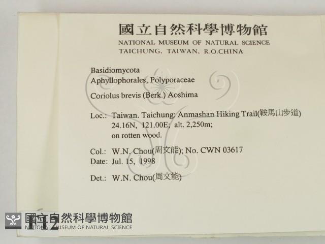 登錄號:F0012395藏品圖，第2張