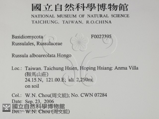 登錄號:F0027395藏品圖，第2張