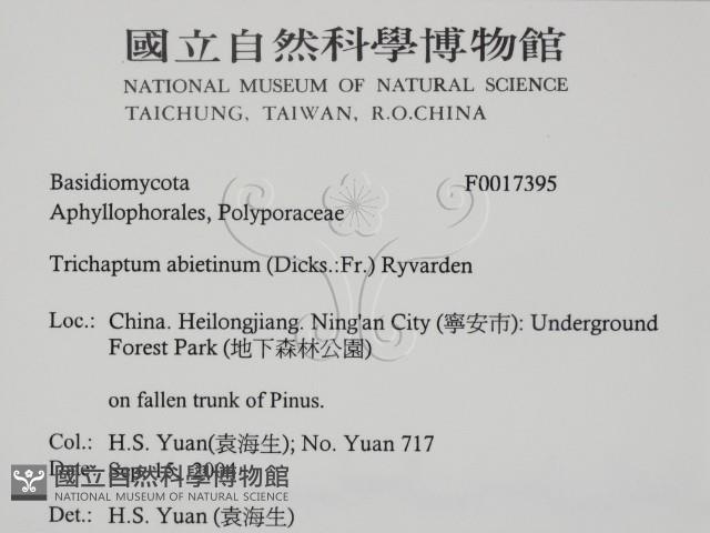 登錄號:F0017395藏品圖，第2張
