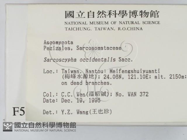 登錄號:F0005395藏品圖，第2張