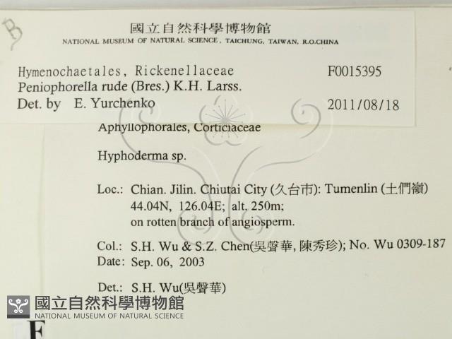 登錄號:F0015395藏品圖，第2張