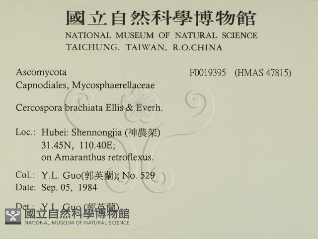 登錄號:F0019395藏品圖，第2張