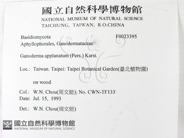 登錄號:F0023395藏品圖，第2張
