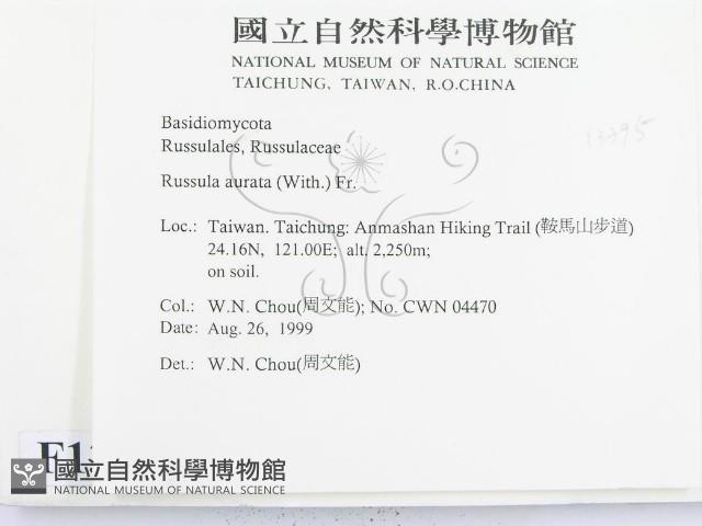 登錄號:F0013395藏品圖，第2張