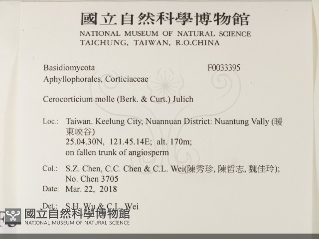 登錄號:F0033395藏品圖，第2張