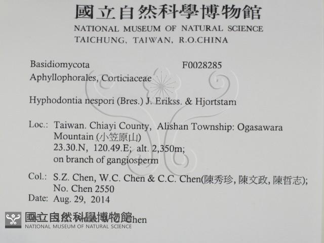登錄號:F0028285藏品圖，第2張