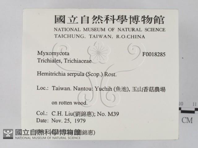 登錄號:F0018285藏品圖，第2張