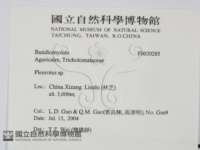 登錄號:F0020285藏品圖，第2張