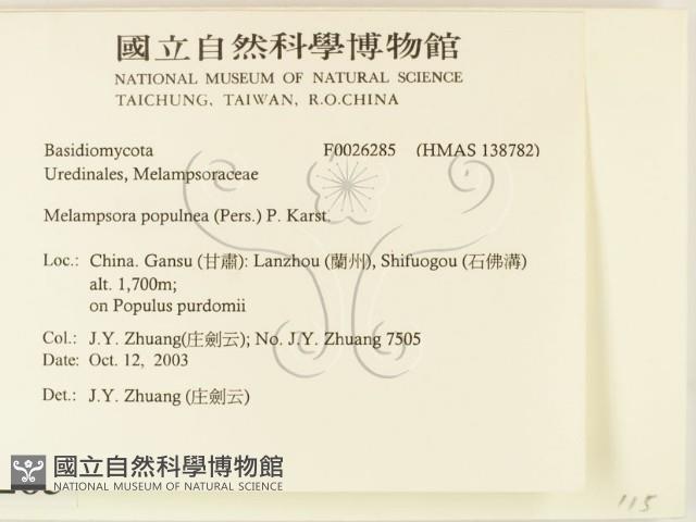 登錄號:F0026285藏品圖，第2張