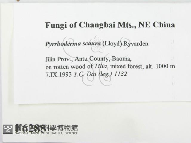 登錄號:F0006285藏品圖，第2張