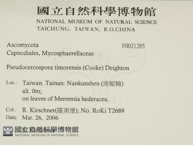 登錄號:F0021285藏品圖，第2張