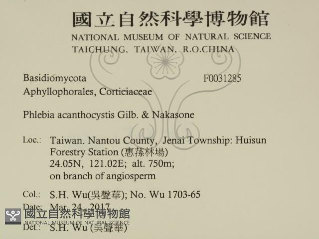 登錄號:F0031285藏品圖，第2張