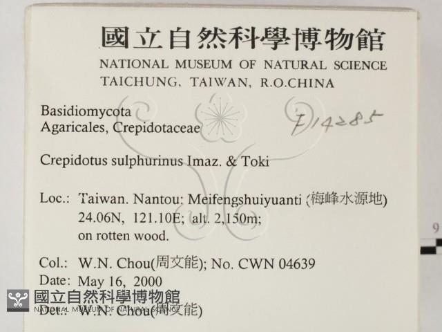 登錄號:F0014285藏品圖，第2張