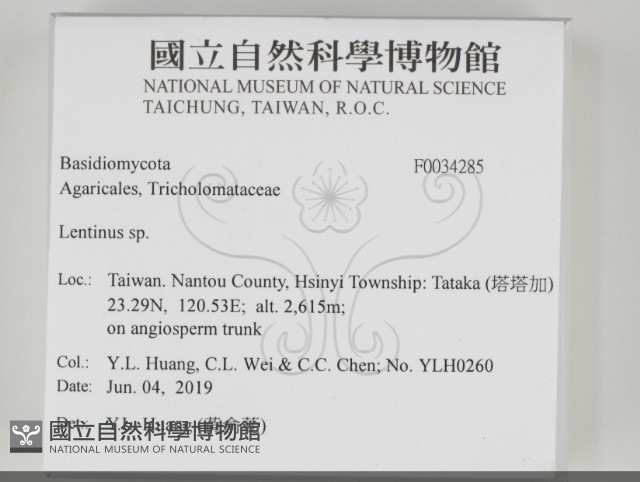 登錄號:F0034285藏品圖，第2張