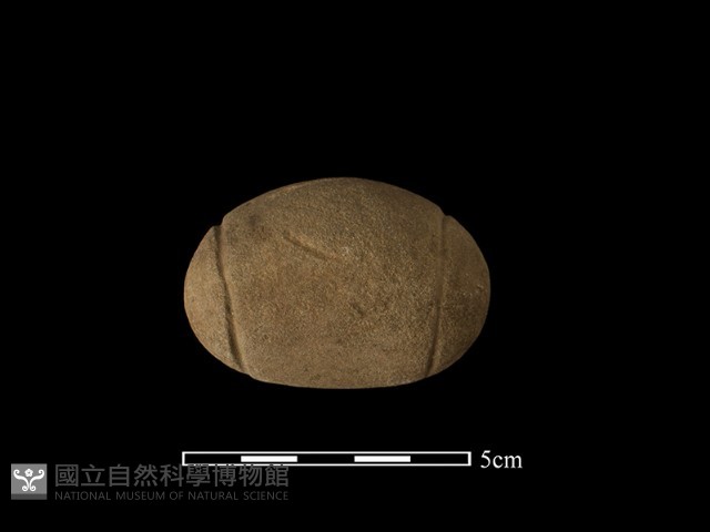 網墜藏品圖，第1張