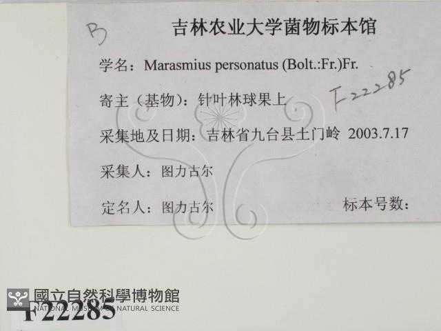 登錄號:F0022285藏品圖，第2張