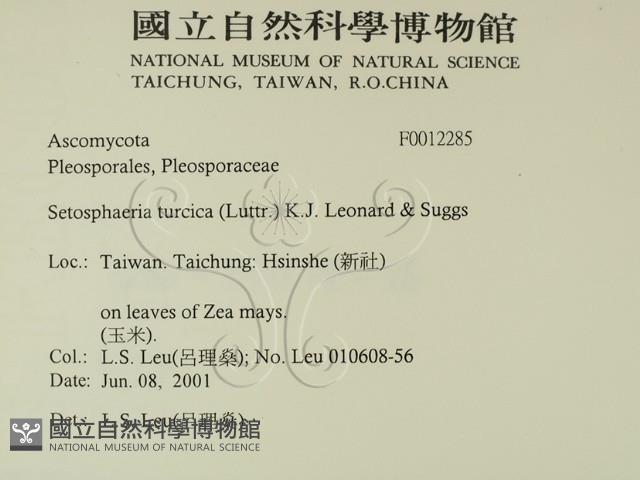 登錄號:F0012285藏品圖，第2張