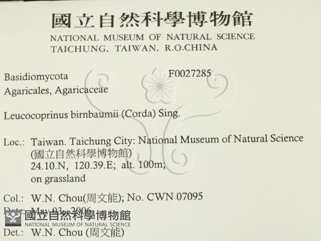 登錄號:F0027285藏品圖，第2張