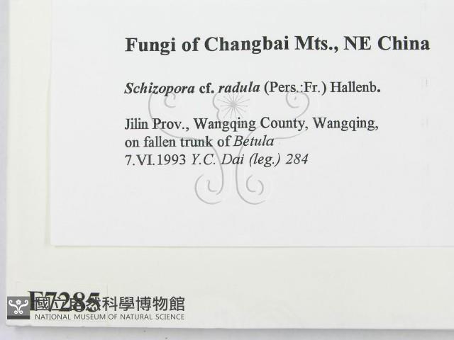 登錄號:F0007285藏品圖，第2張